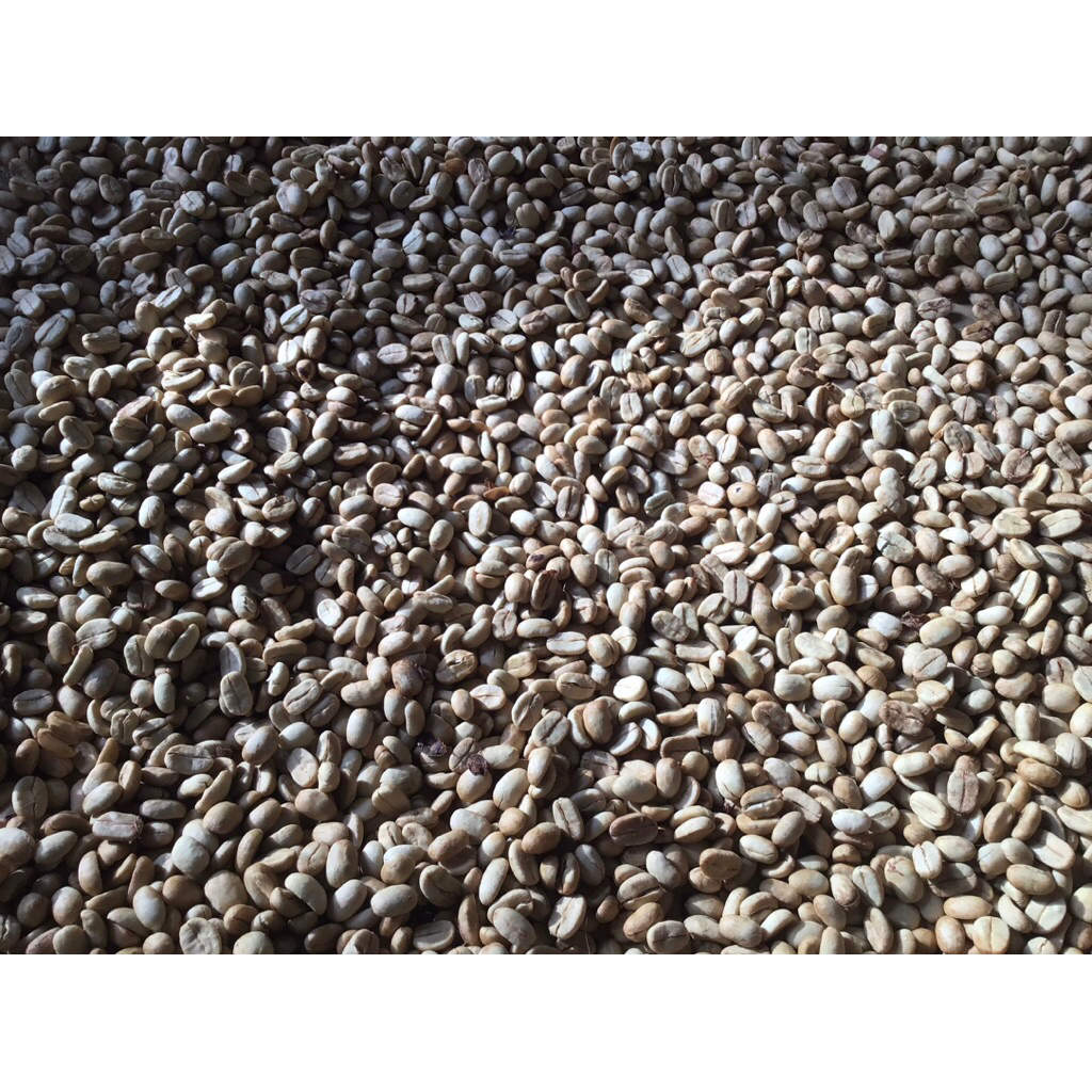 Green bean Kopi Arabika