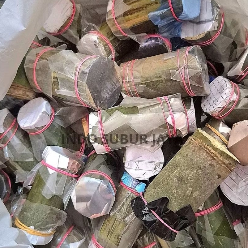 Ulat Bambu Medan Isi 20 Ulat Awet