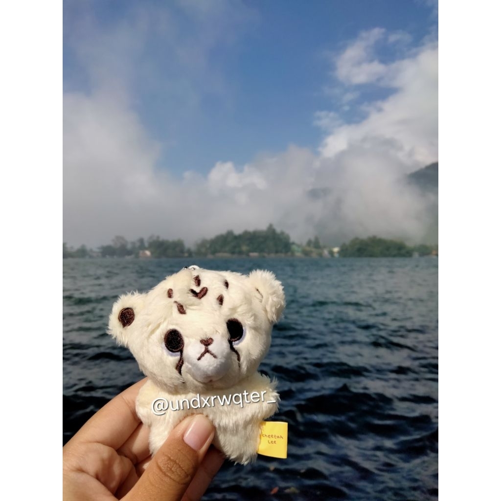 Doll Cheetah Lee 10cm Tag Kuning (BOOKED)