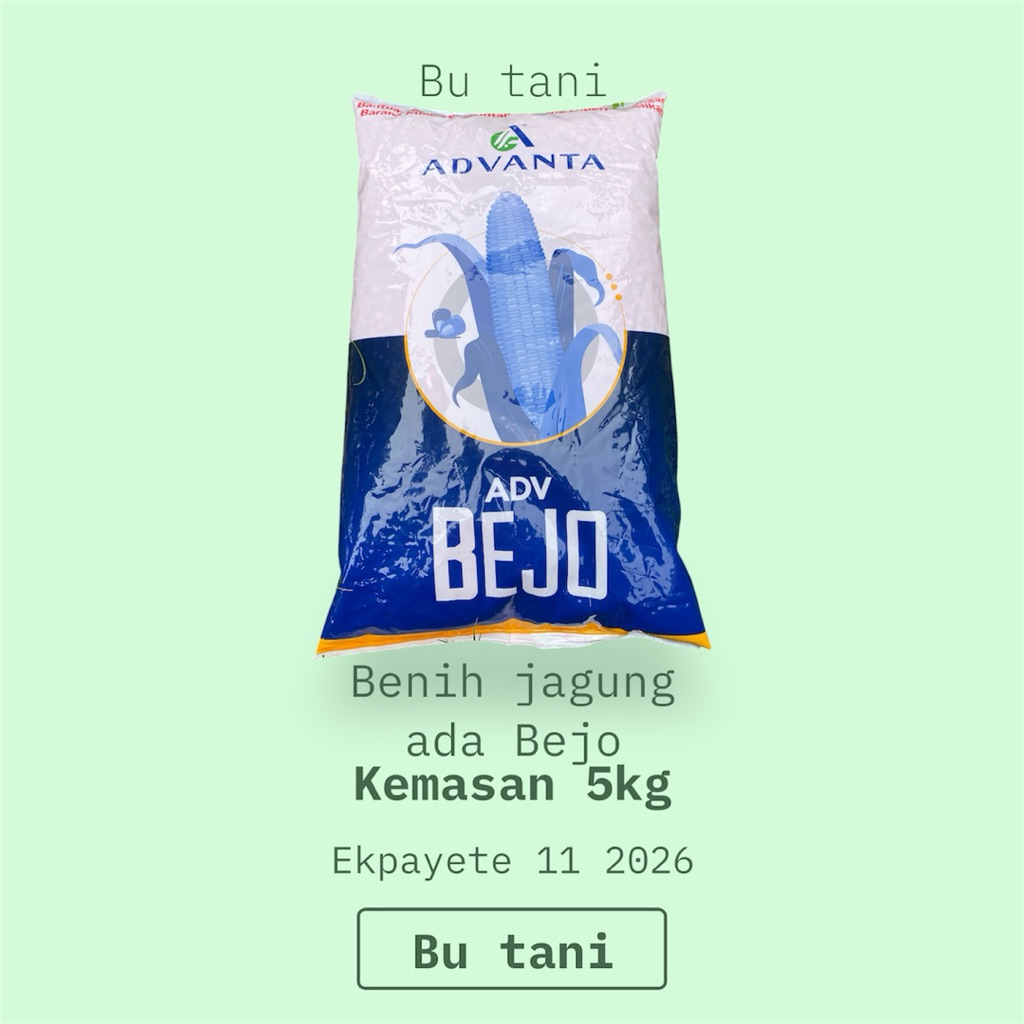 Benih Jagung Hibrida ADV Bejo 5kg