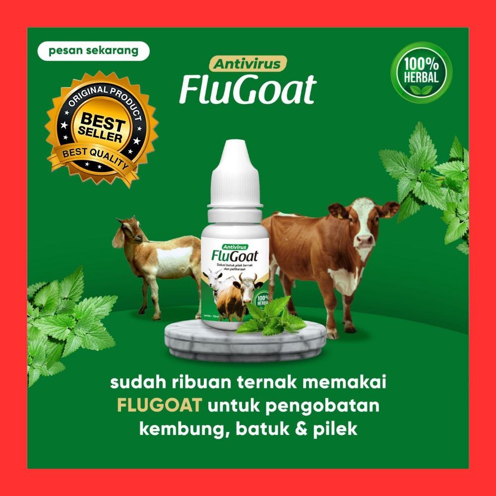 PALING LARIS  Obat Flu Ayam Pedaging, Obat Flu Ayam Herbal