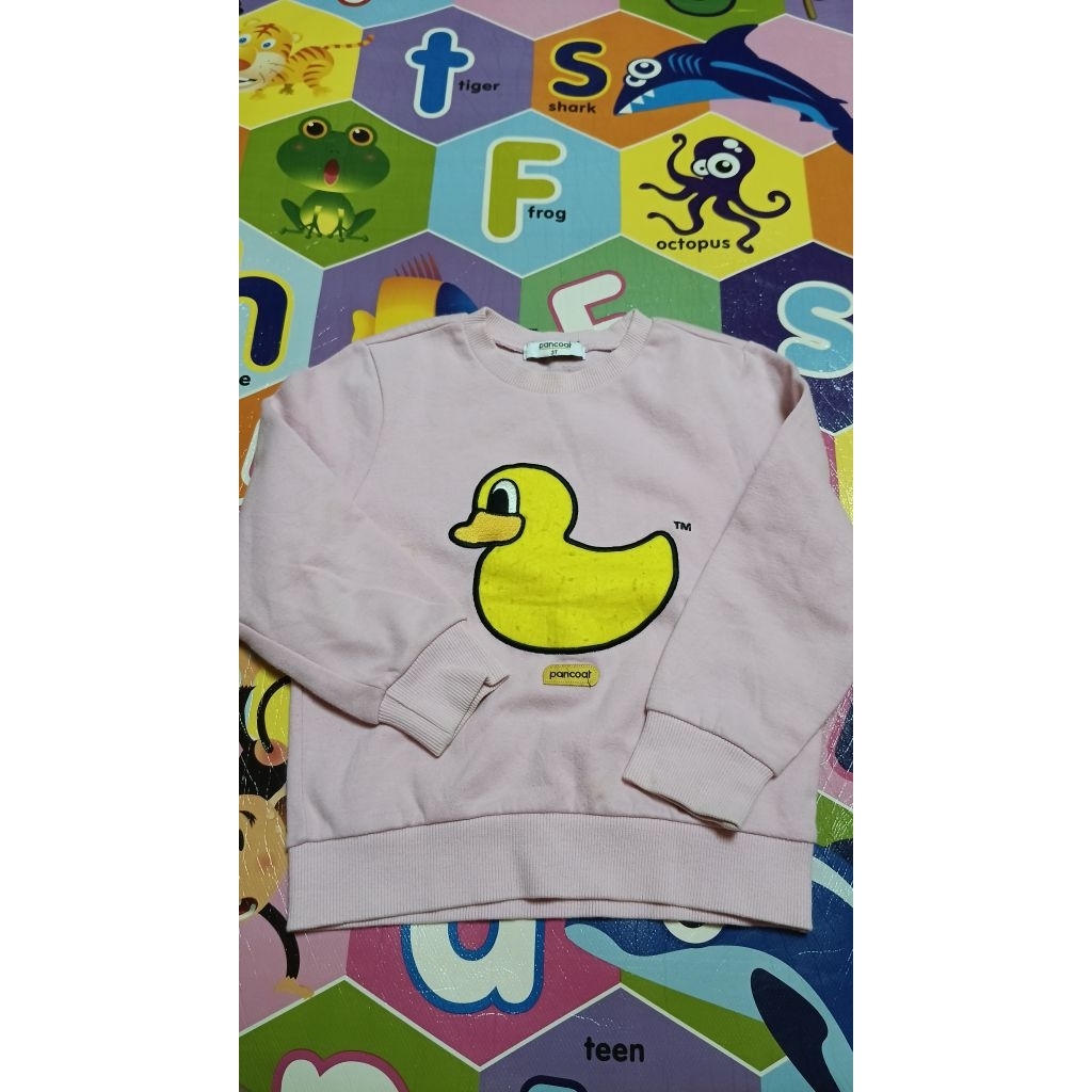 CREWNECK PANCOAT POP BEBEK