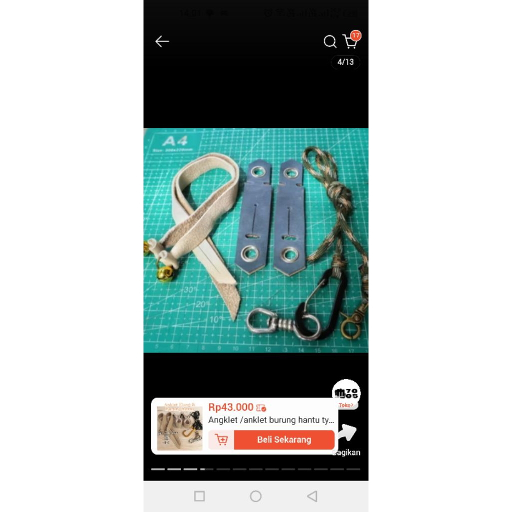 angklet burung hantu , alap alap , elang