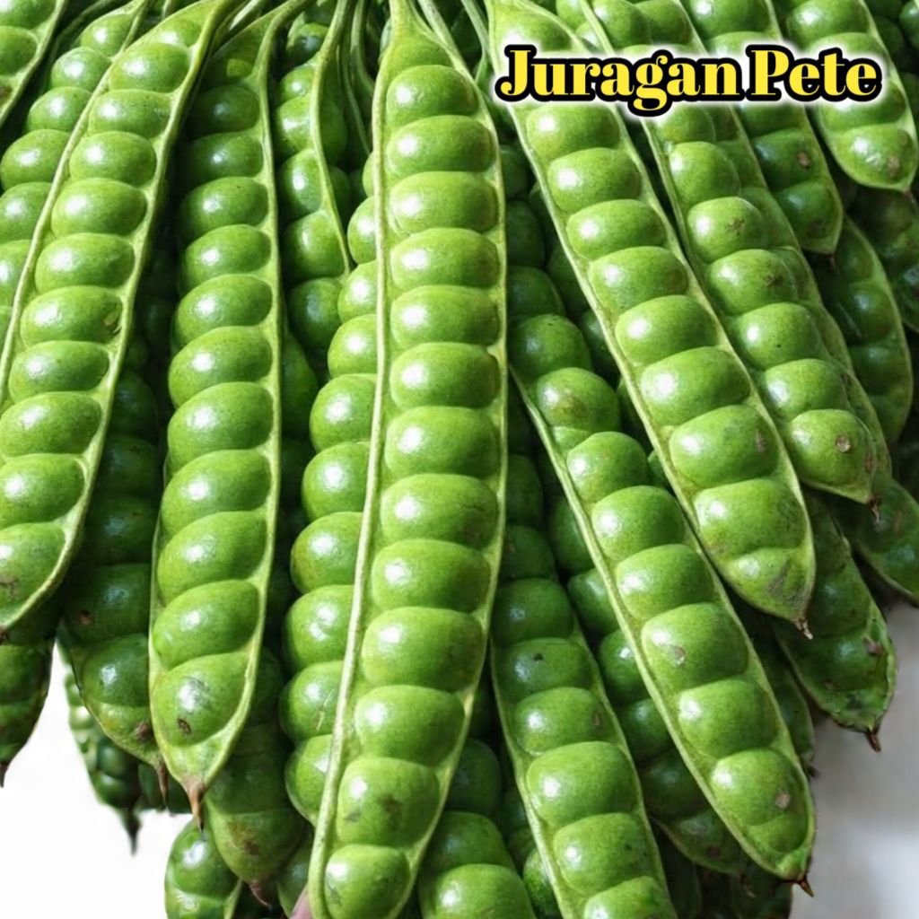 PETE PADI UKURAN MINI ISI 15 PAPAN/PETE SEGAR PILIHAN/PETE TUA/PETE SUPER BERKUALITAS/PROMO PETE MUR