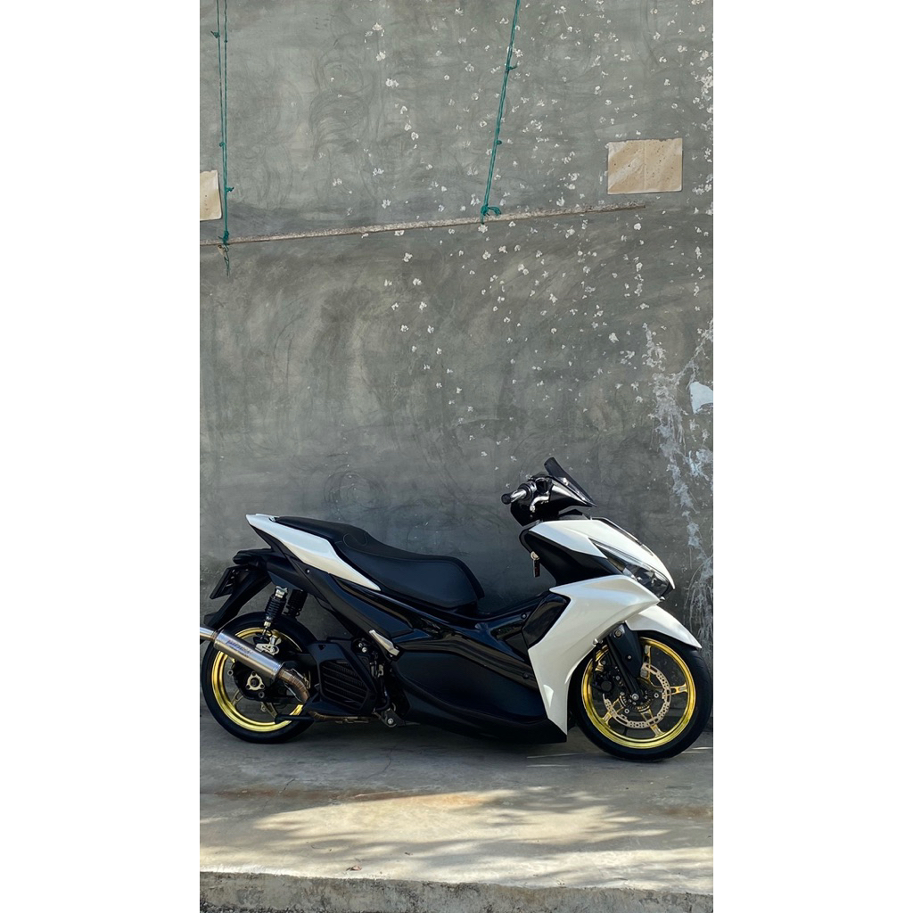 velg delkevic bintang laut gold ring 14