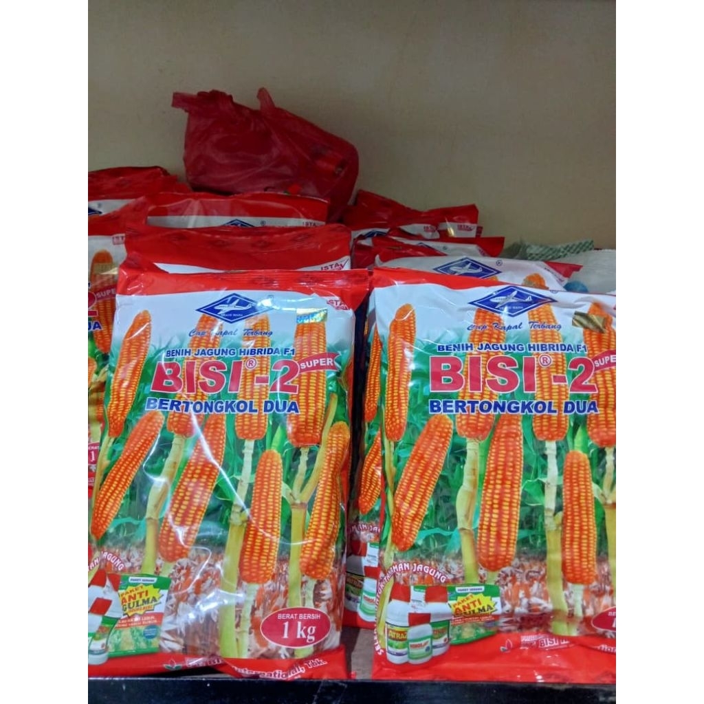 Benih jagung bisi 2