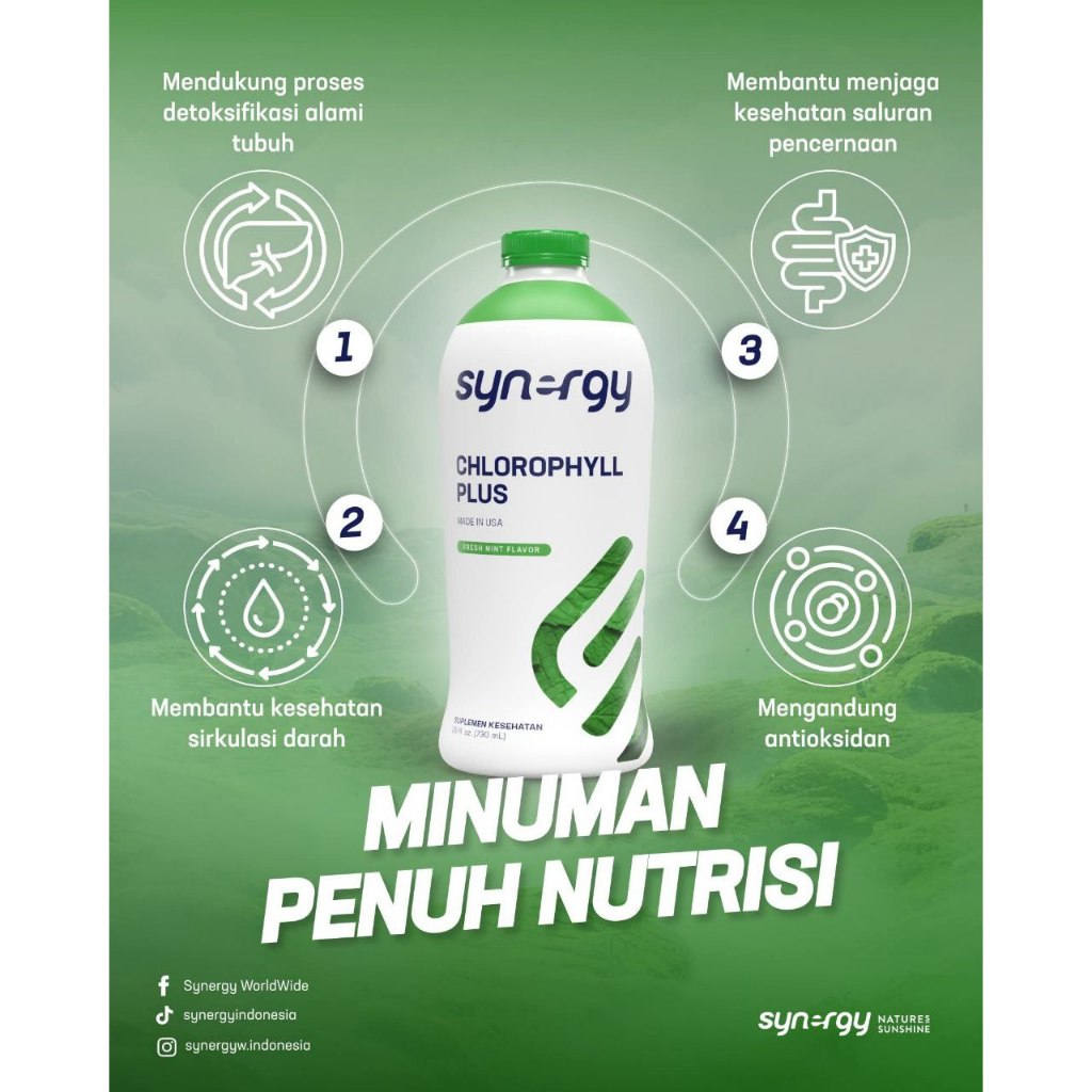 Chlorophyll Plus Synergy Original USA | Klorofil Cair Rasa Mint Segar Tanpa Rasa Daun | Mendukung Si