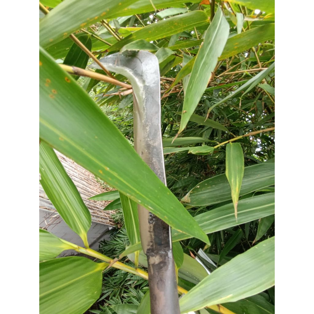 arit rumput,doret baja tajam serbaguna panjang 44cm