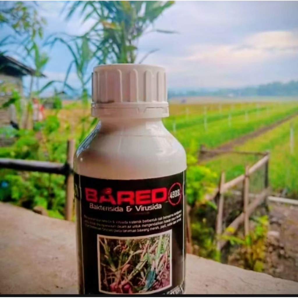 Bakterisida & Virusida BARED 490SL