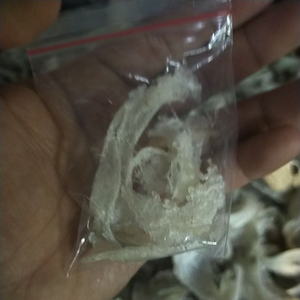 Sarang Walet patahan Kotor Original Harga Per 1 gram / Brid Nest