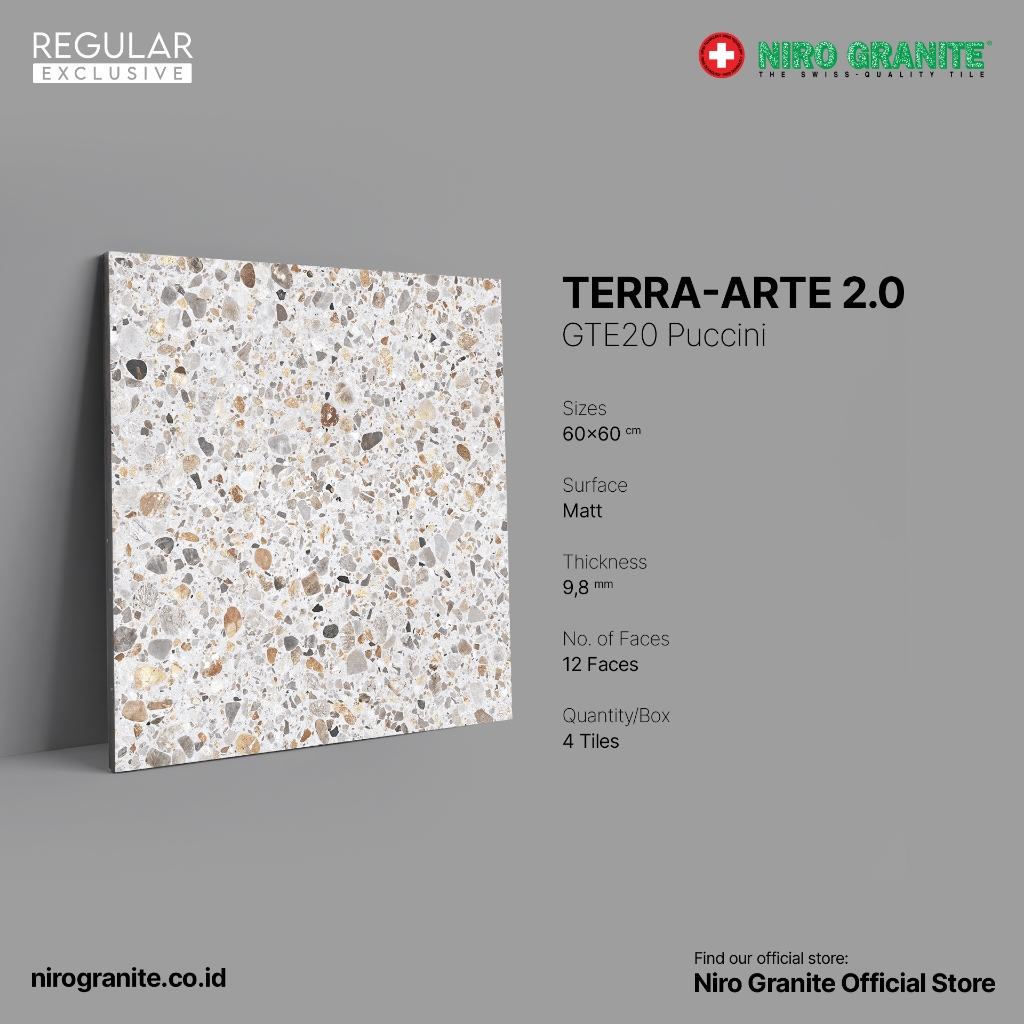NIRO GRANITE 1st Grade - Terra-Arte 2.0 GTE20 - 60 x 60