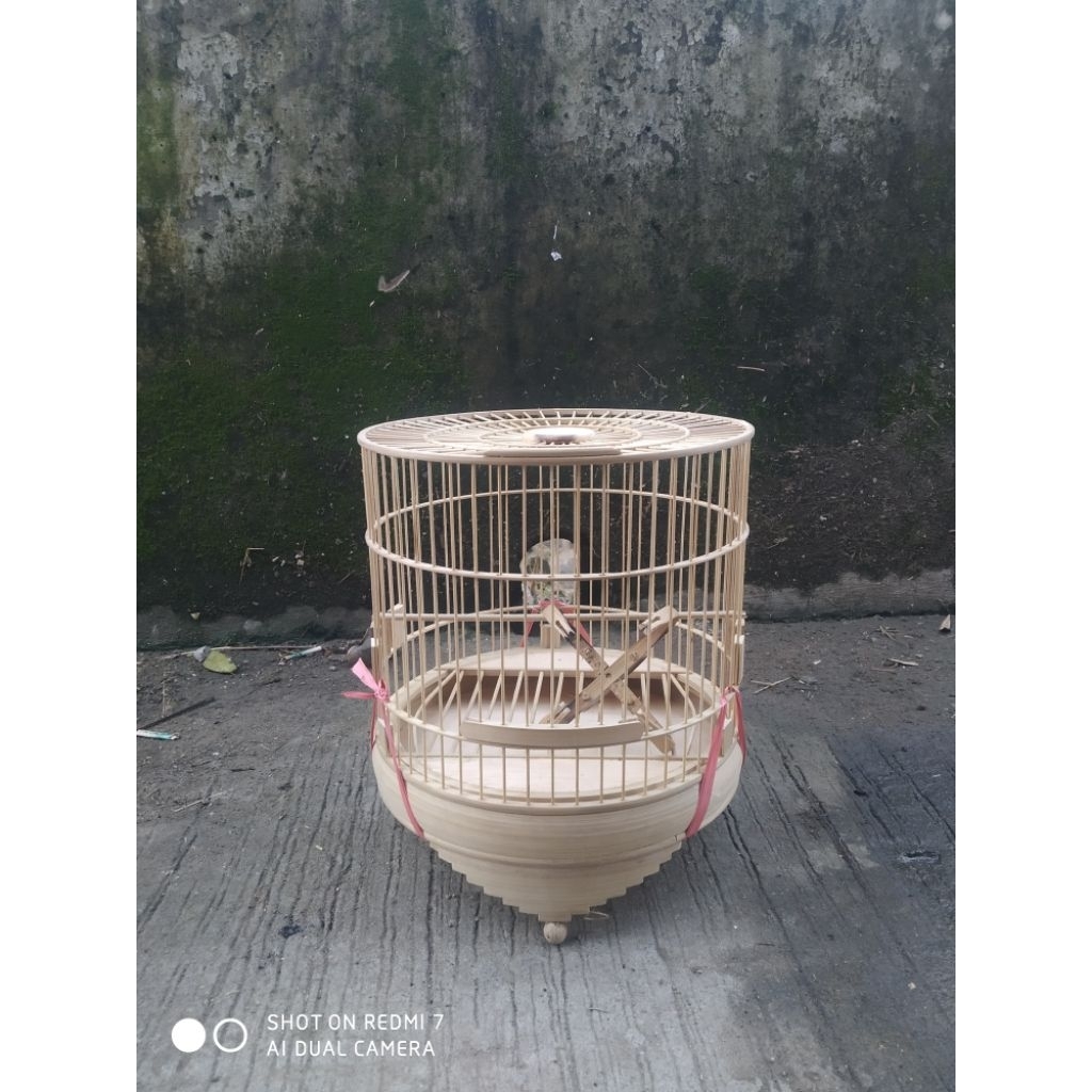 sangkar cungkok toples + mahkota/pion