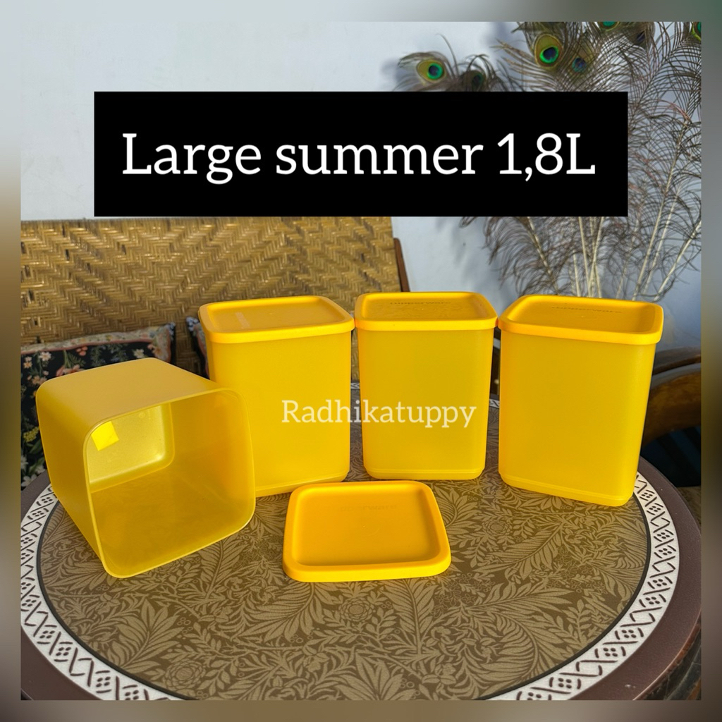 large summer large fiesta tropical toples jajan 1,8L (1)