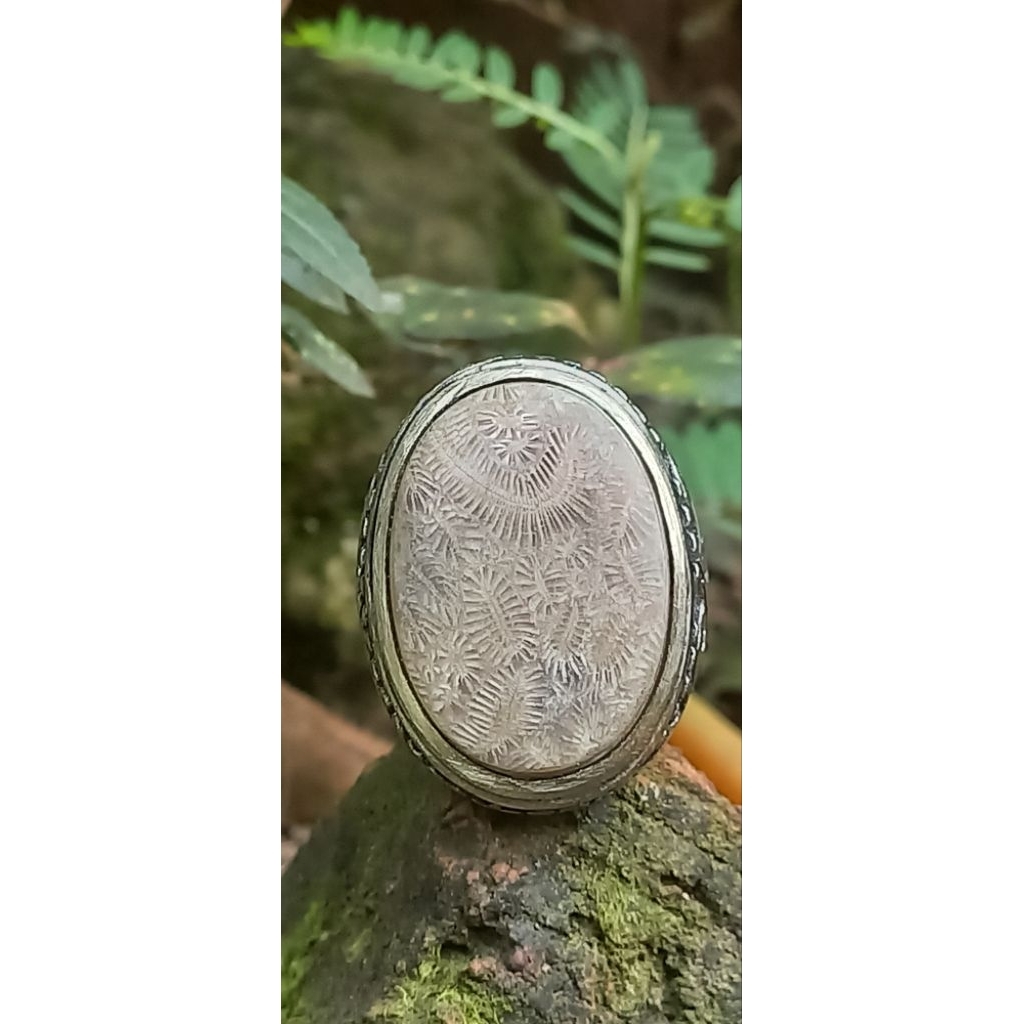 cincin natural teratai lipan