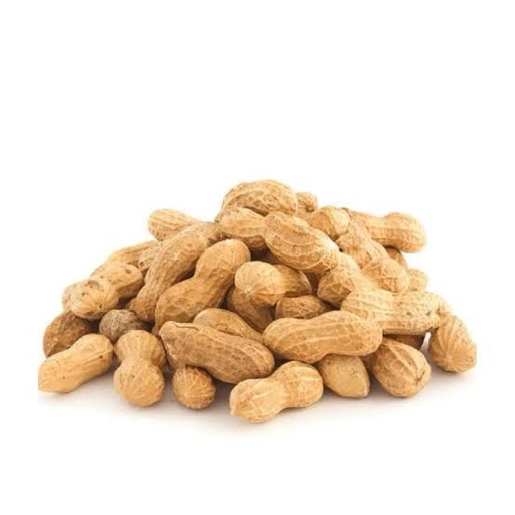 Kacang Tanah Kulit Mentah 1 KG