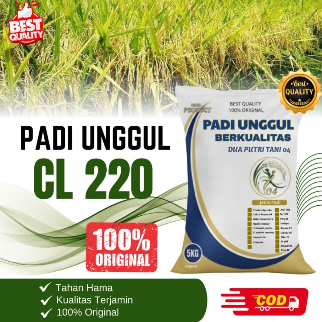 BIBIT PADI UNGGUL CL220 kemasan 5kg