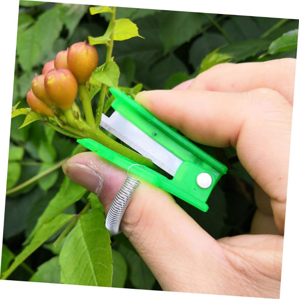 TANAMAN SUPER - PISAU PETIK BUAH SAYUR STAINLESS ALAT PETIK PORTABLE