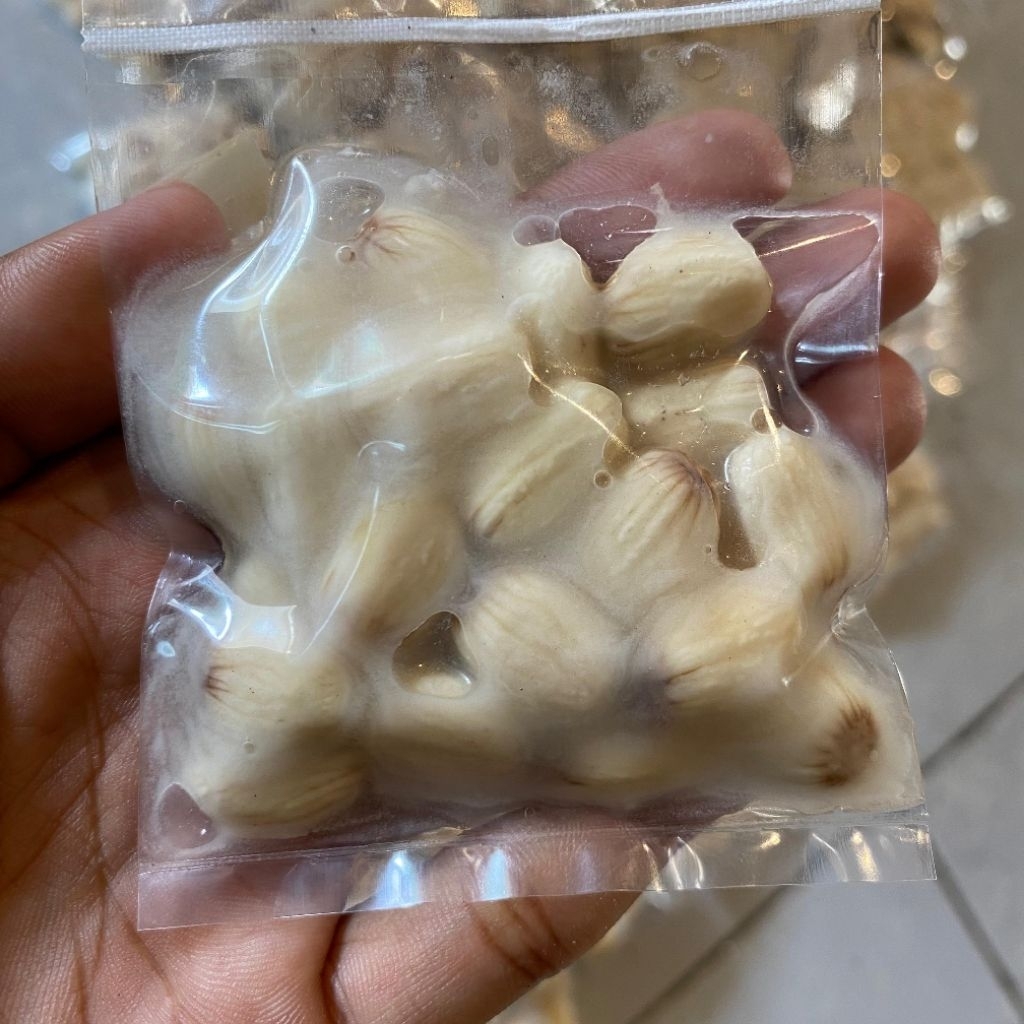 Umpan mancing ikan bawal Biji Jarak Fermentasi