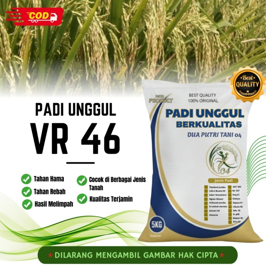 benih PADI VR 46  bibit unggul kemasan 5 kg