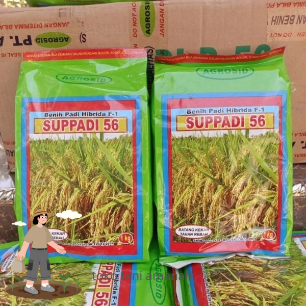 Benih Padi Supadi SUPPADI 56 Hibrida F1 Original Agrosid