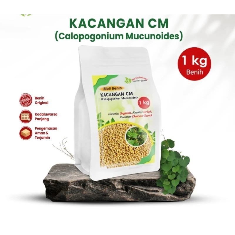 Bibit CM Calopogonium mucunoides 1KG – Benih Penutup Tanah