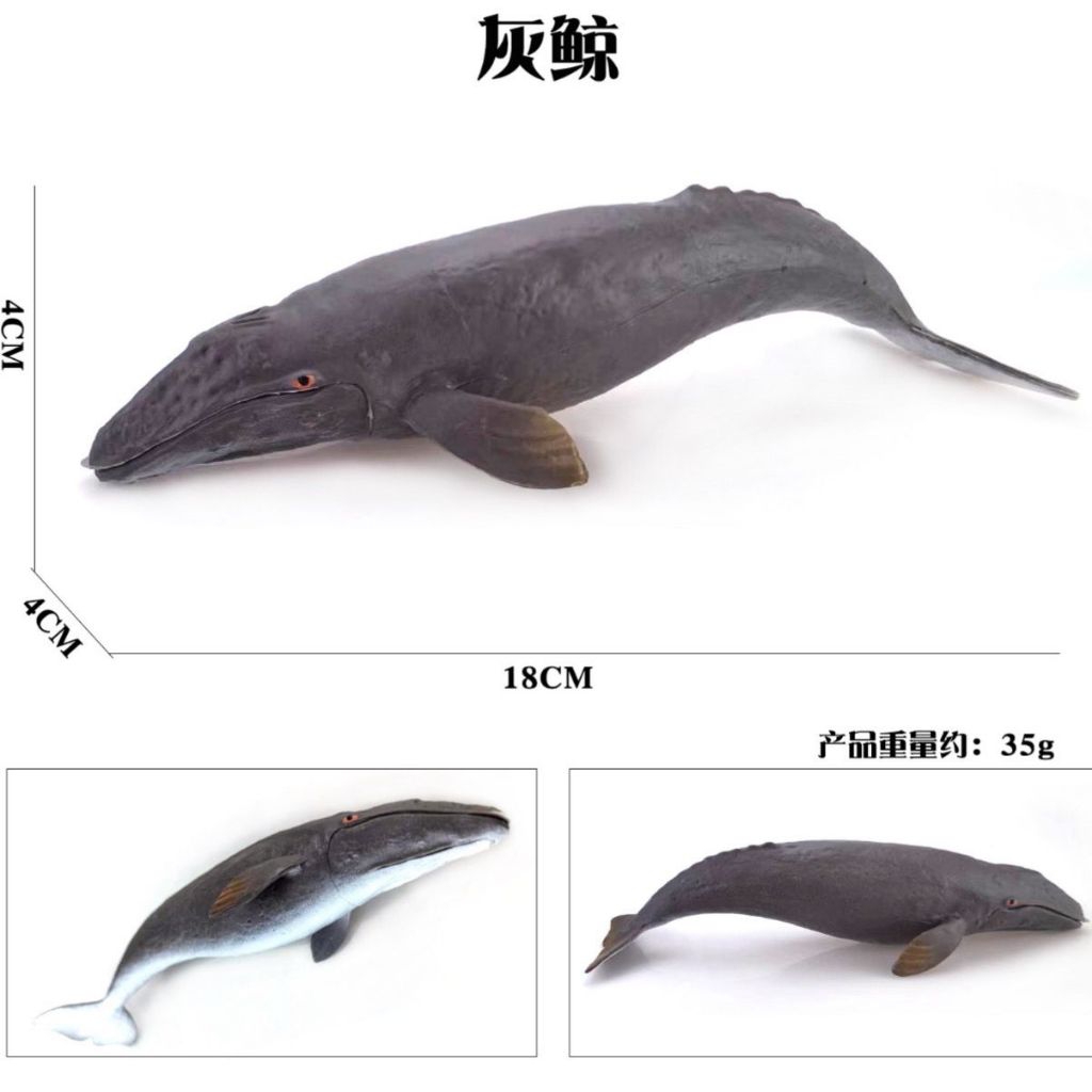 Mainan ikan Paus Bungkuk - miniatur ikan Paus Bungkuk - pajangan Paus Bungkuk - koleksi figure Paus 