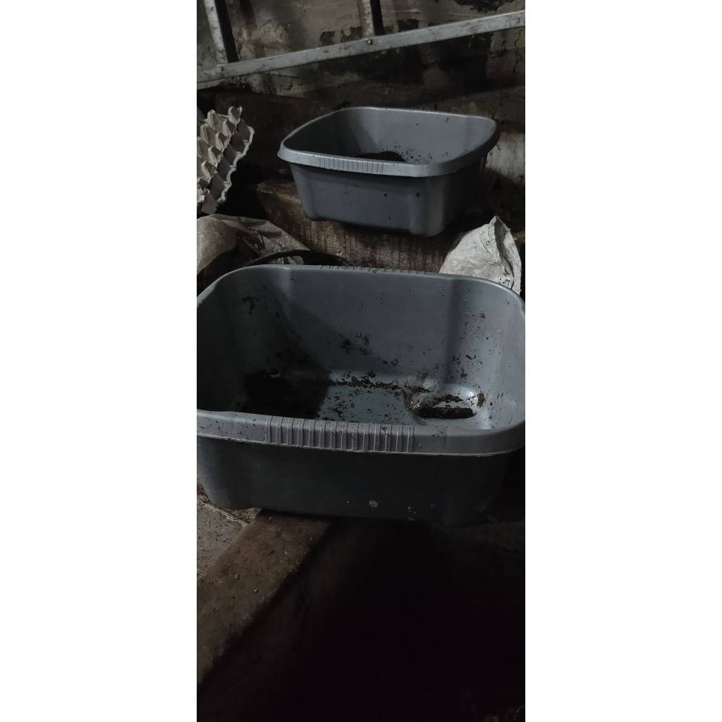 MEDIA KOTAK CACING UNTUK BUDIDAYA CACING Tanah CACING KOSMETIK CACING LUMBRIKUS TIGER CACING KALUNG 