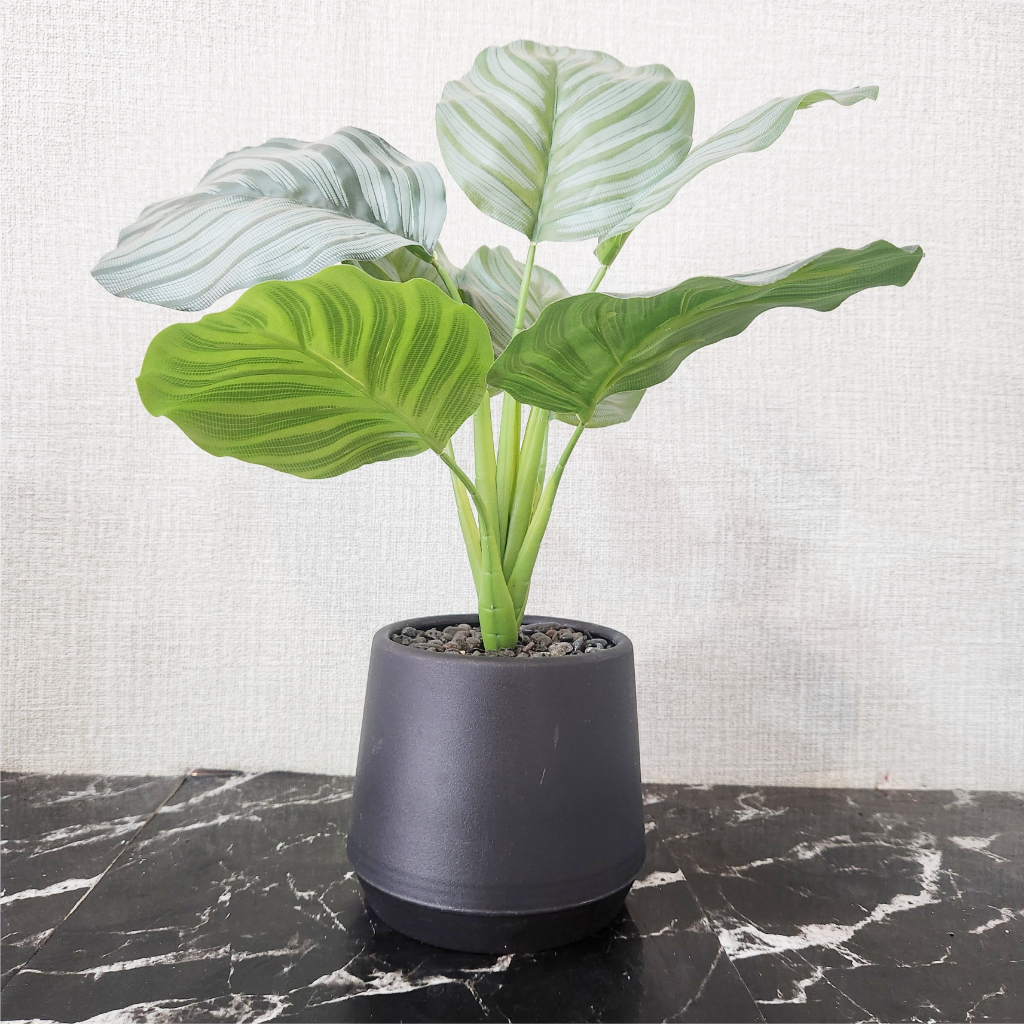 Belvanna Tanaman Hias Plastik Artificial Aglonema Pot Plastik Minimalis