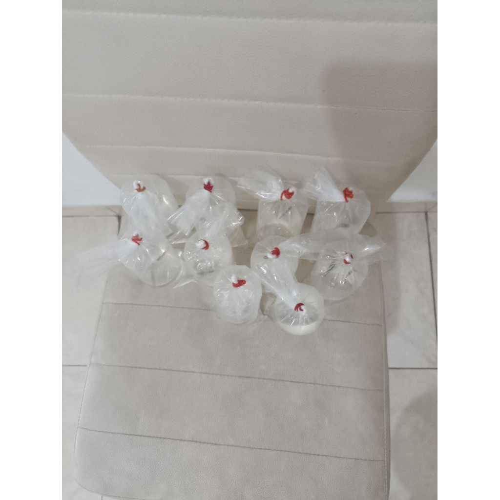 Ikan Hias Guppy platinum red koi - Warna Menawan, Akuarium Indah,