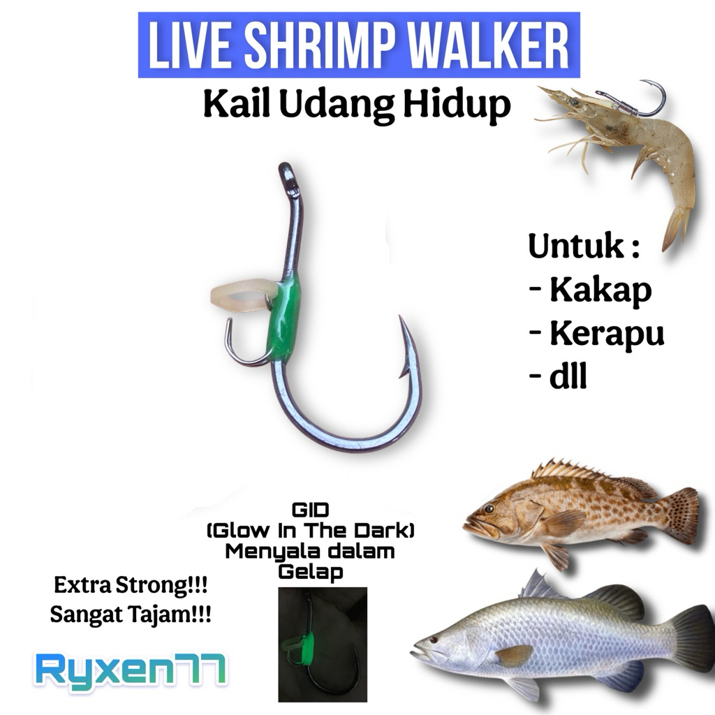 PROMO STOK TERBATAS BURUAN GID Kail Udang hidup Glow in the dark Kakap putih kerapu Baramundi mangro