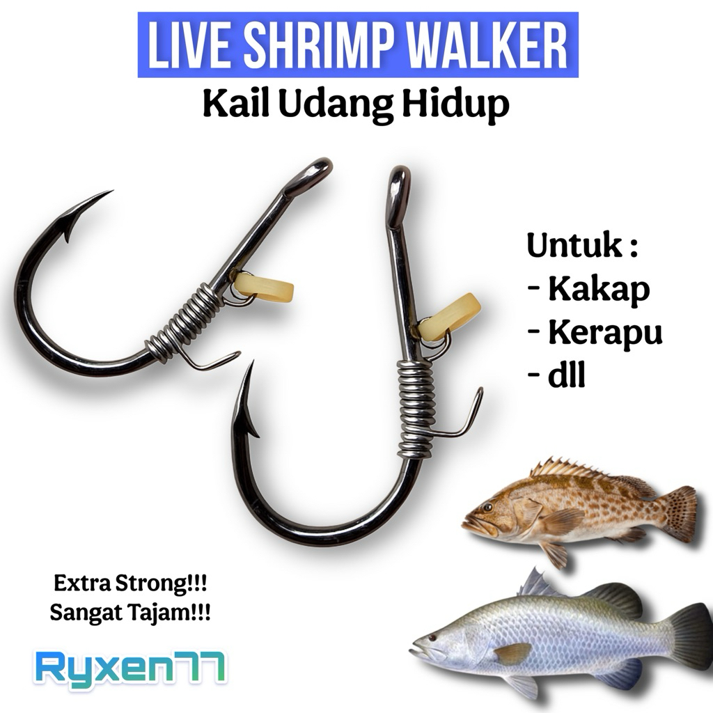 Promo produk baru !!! Kail Udang hidup Barramundi Kakap Putih Kerapu Mangrove jack Baramundi Dll