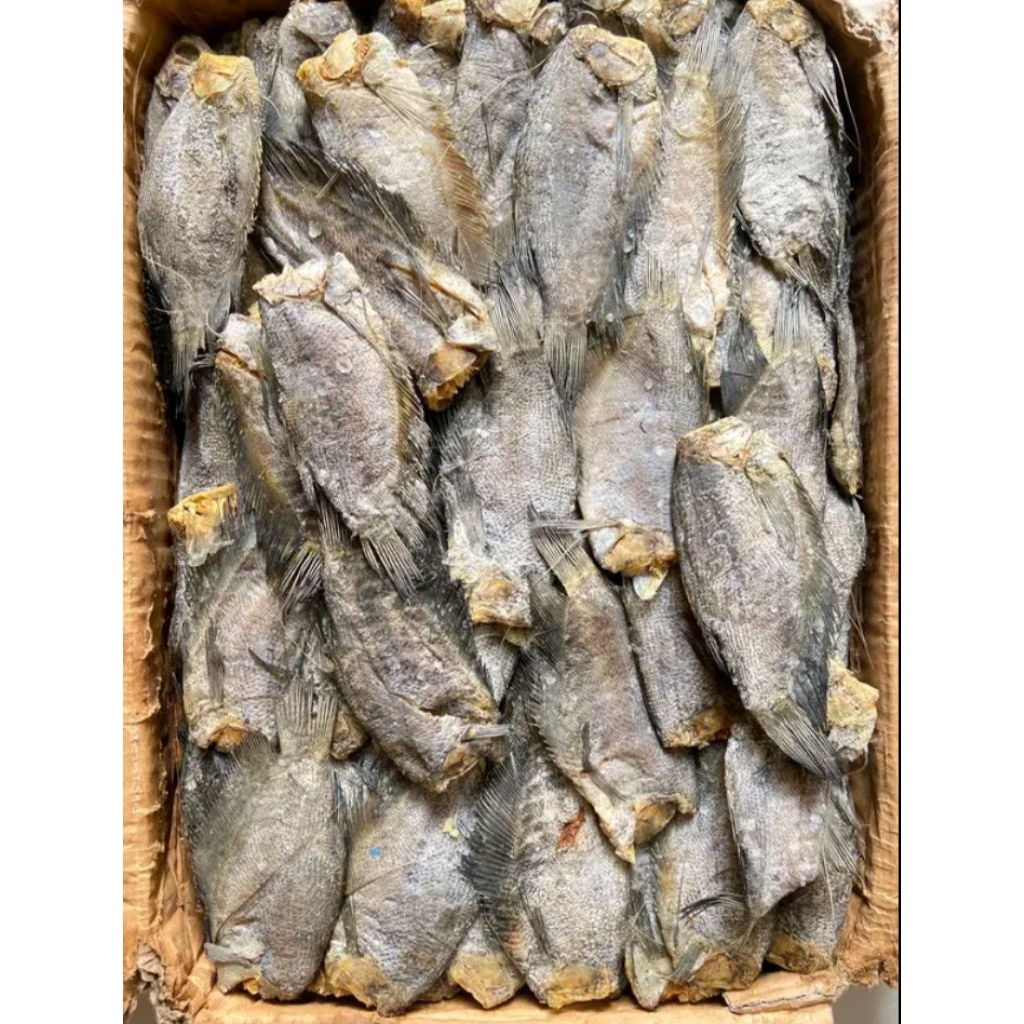 ikan asin Sepat Semi Tawar,Ikan asin sepat khas Lampung 1kg murah.