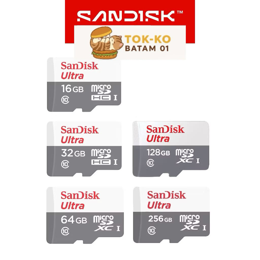 SANDISK MEMORY CARD MICRO SD XC CLASS 10 FOR ANDROID HP CCTV CAMERA DLL ( BATAM ]