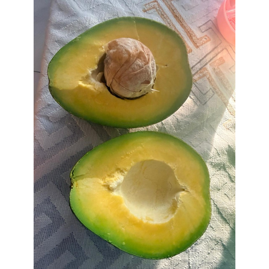 ALPUKAT/ ALPUKAT JUMBO/ ALPUKAT KENDIL