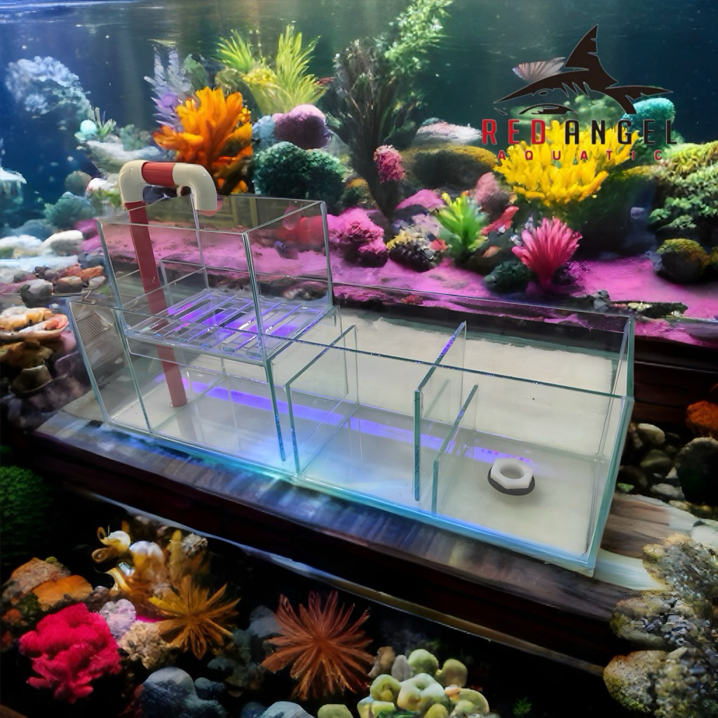 (CARGO+BOX KAYU GARANSI REFUND)) TALANG FILTER KACA AKUARIUM 2 SUSUN 40cm , 50cm , 60cm (+TALANG UNT