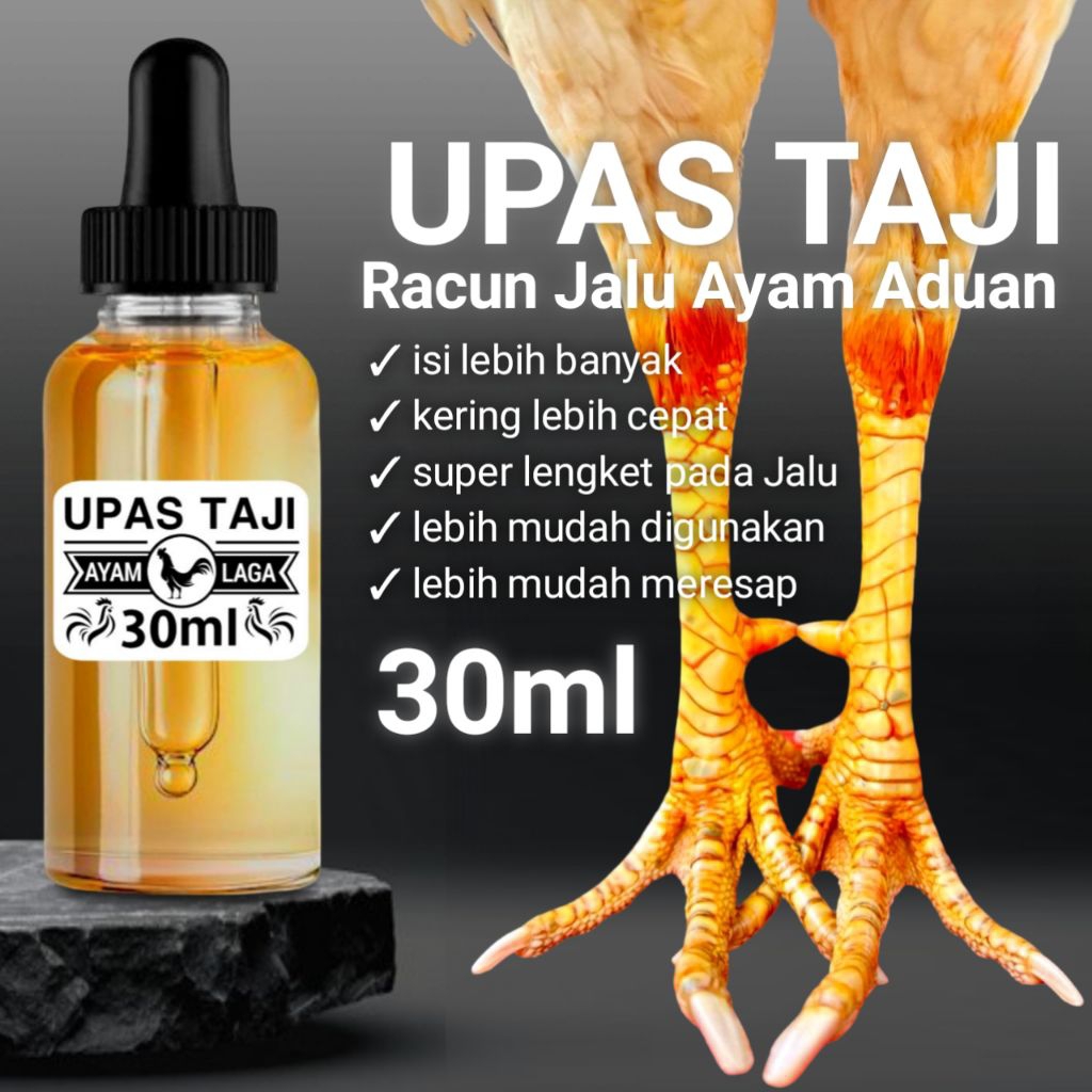 Upas Taji racun jalu ayam Bangkok