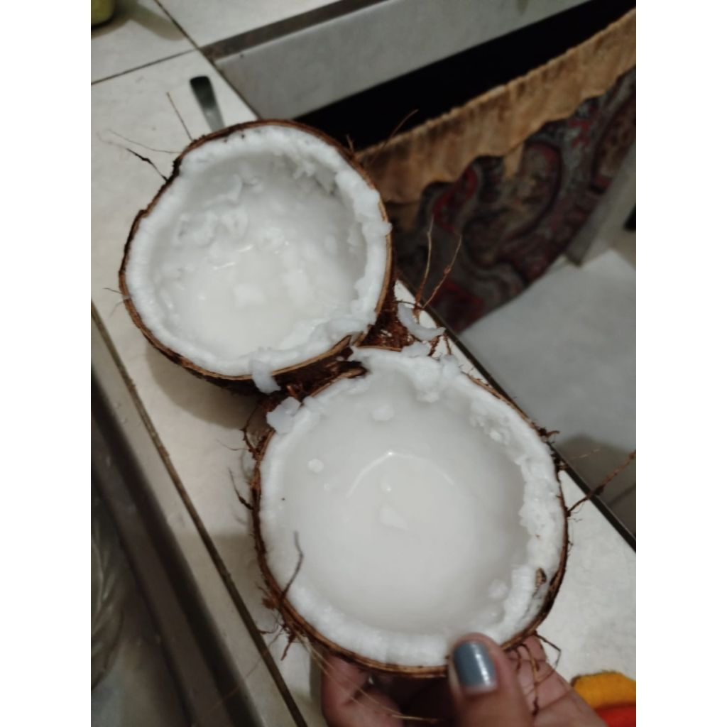 kelapa parut kelapa santan
