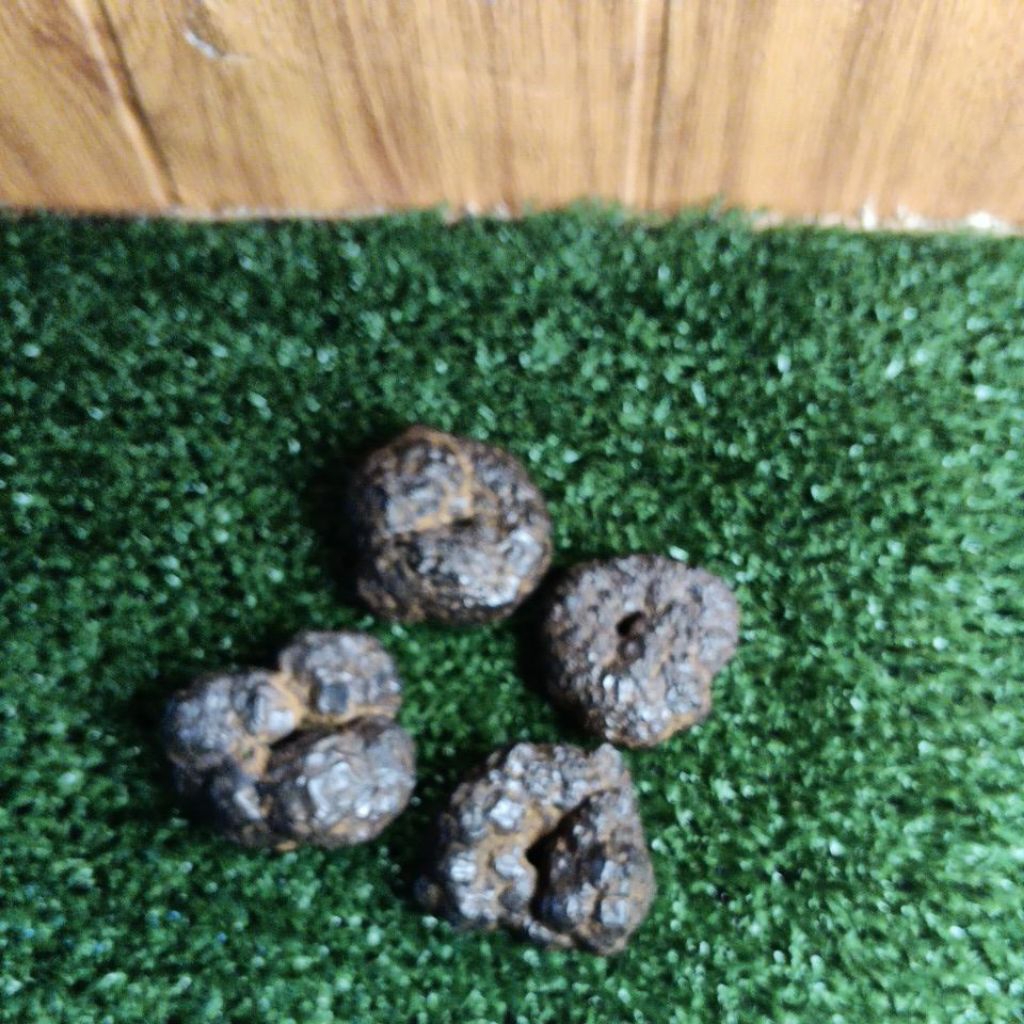 batu selonatah combong