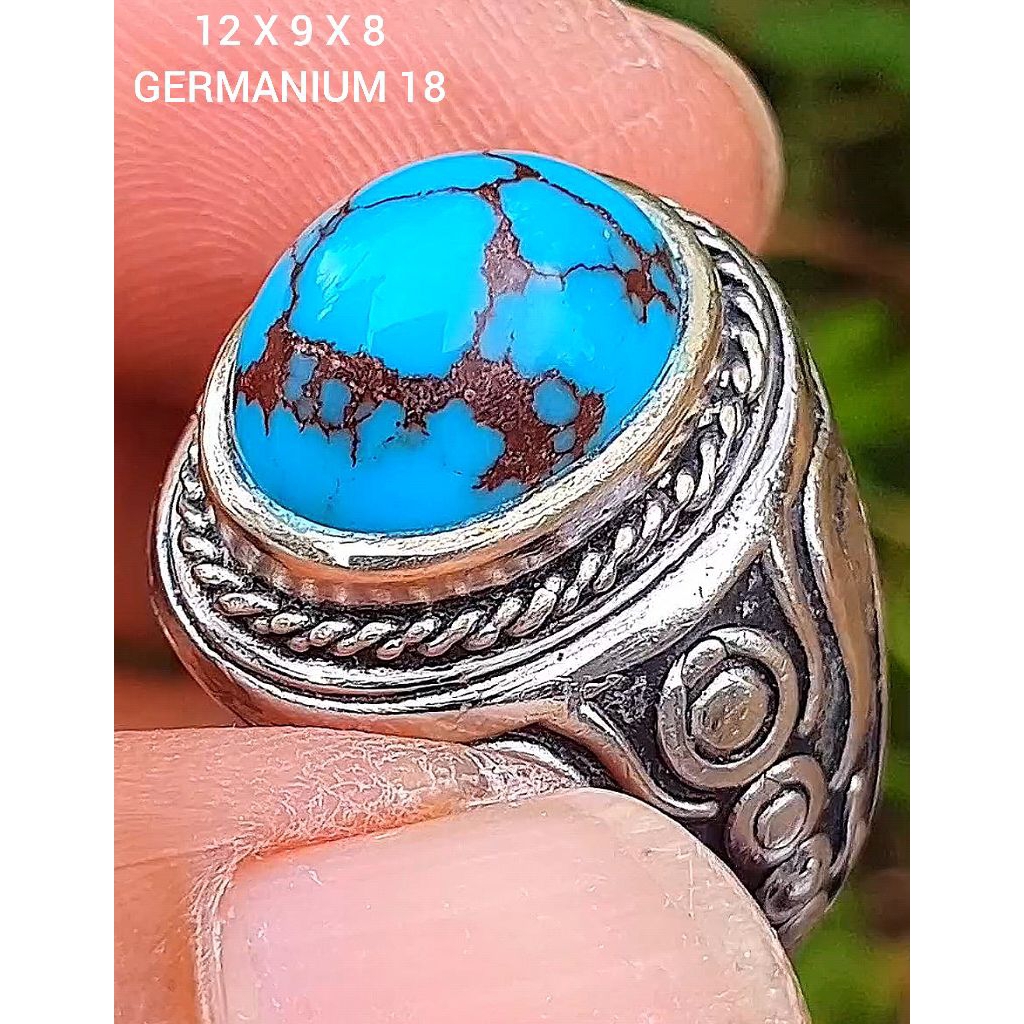 pirus mesir lawasan 7y0