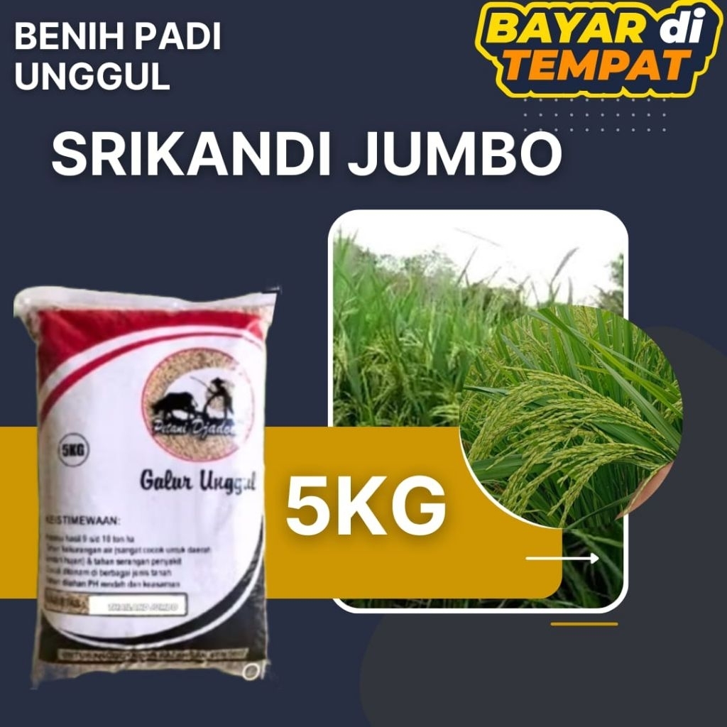 BENIH PADI UNGGUL SRIKANDI KEMASAN 5KG