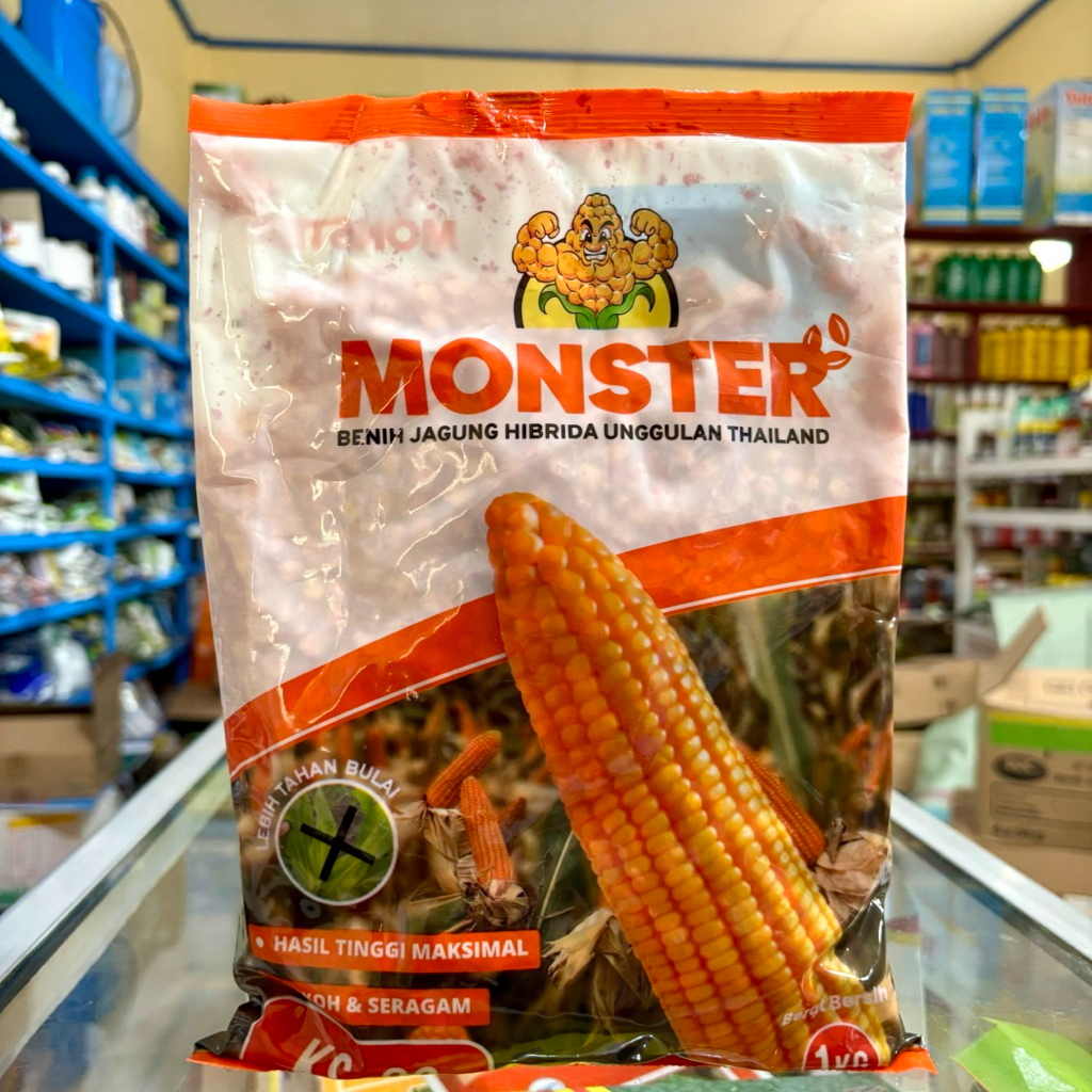 Benih Jagung Hibrida MONSTER Kemasan 1 Kg - Benih Jagung Hibrida Unggulan Thailand Monster
