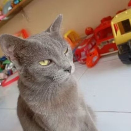 Tambahan kiloan