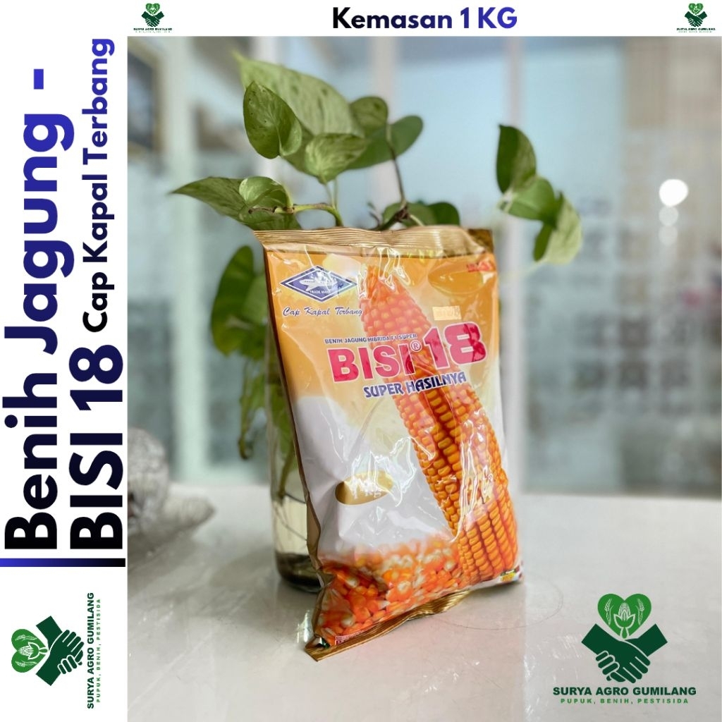 Benih Jagung BISI 18 kms pabrik 1kg | Jagung BISI 18 | Jagung Kapal Terbang