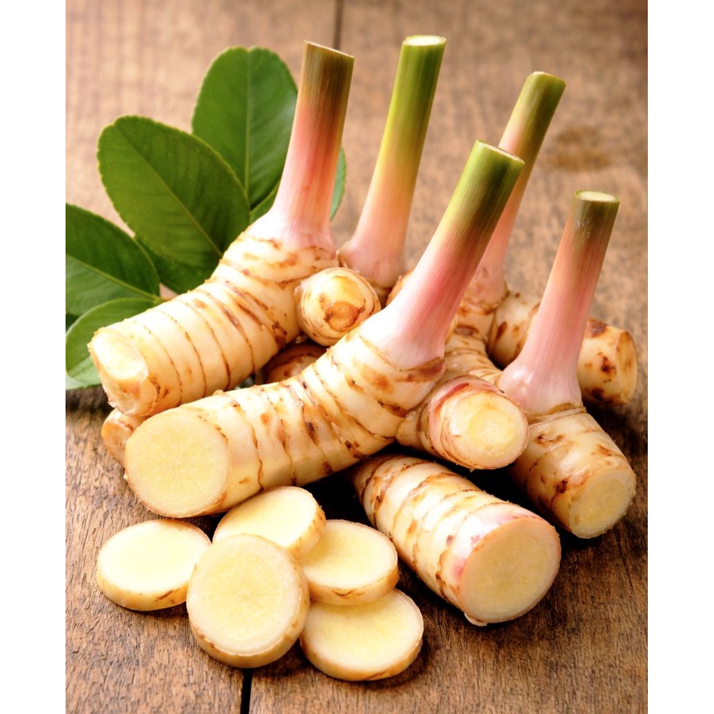 lengkuas laja 1kg sudah di cuci bersih