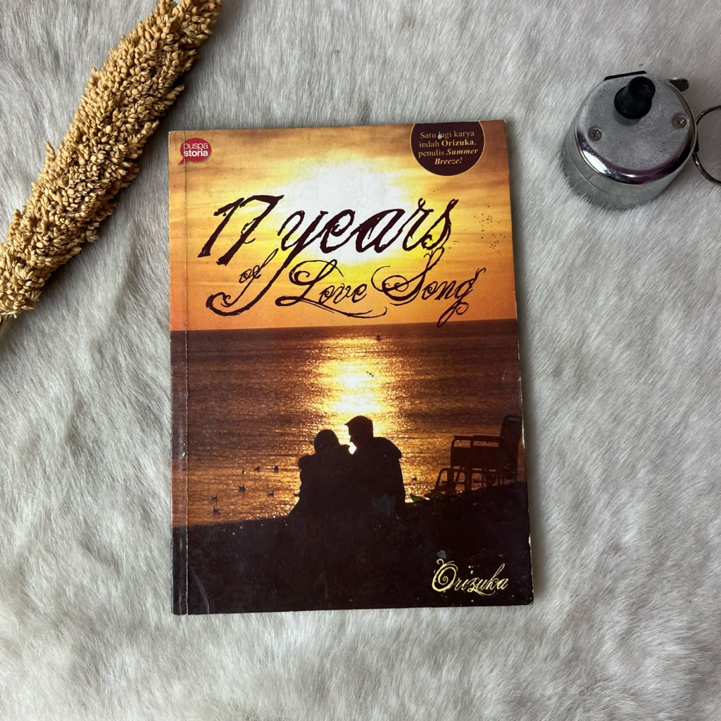 Novel 17 Years of Love Song