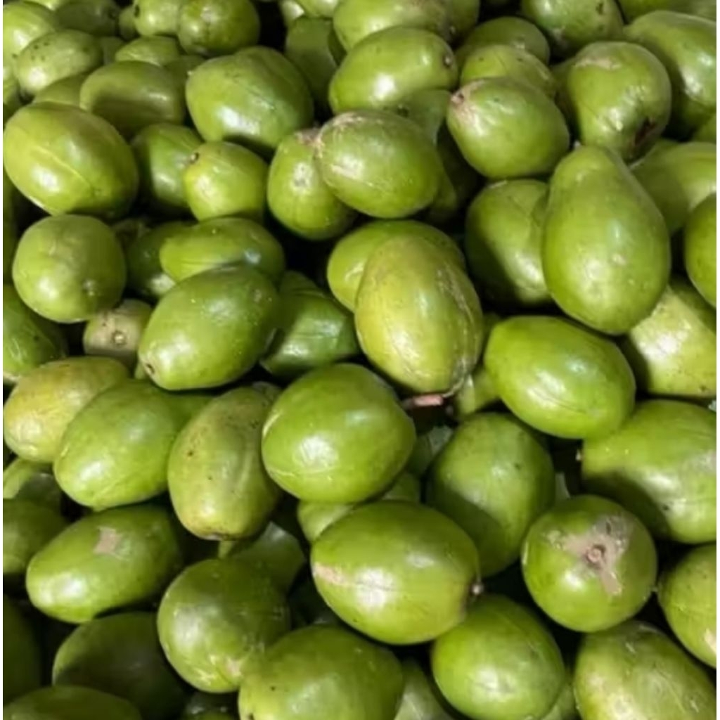 kedondong mini tanpa biji 4 kg