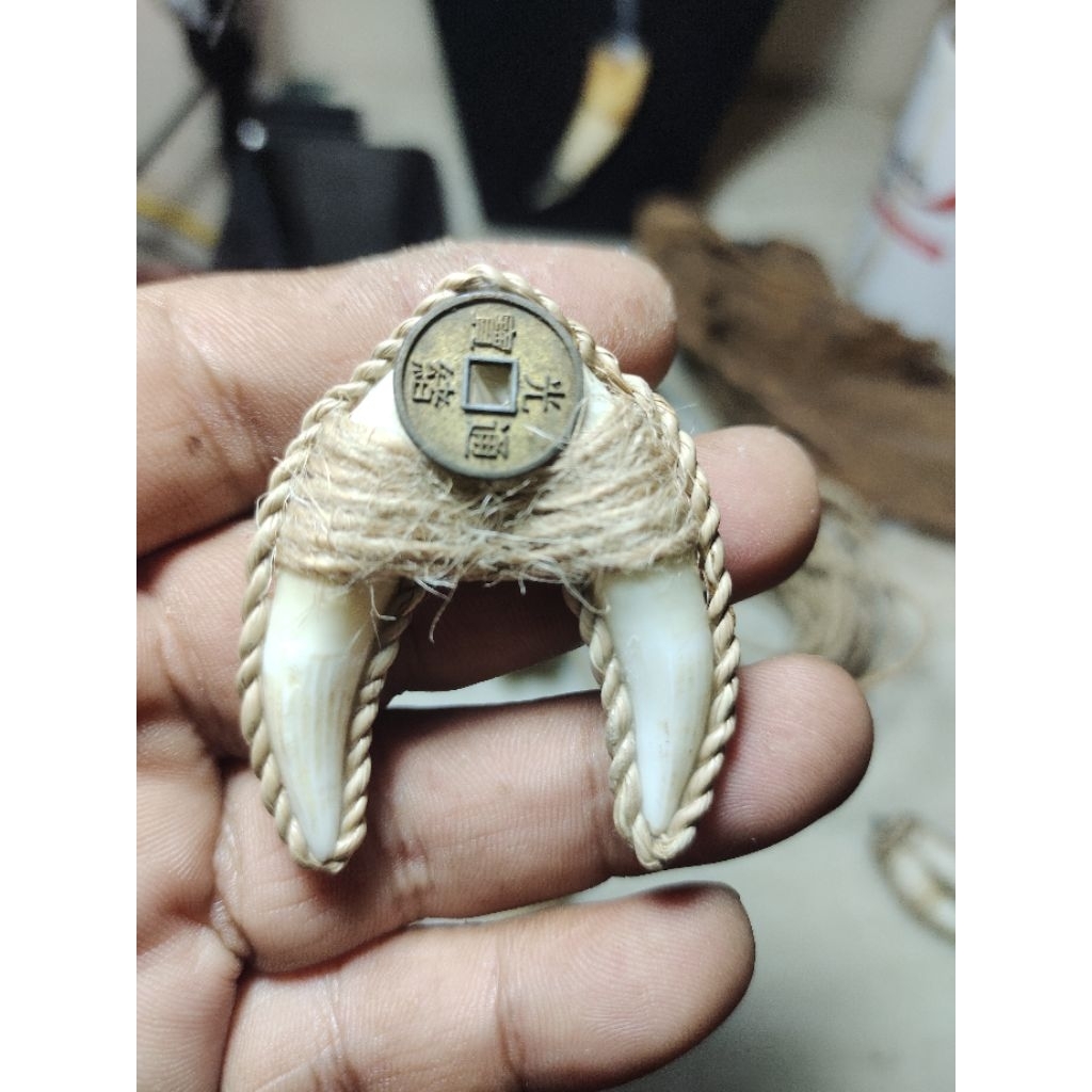 Kalung Liontin Taring Buaya (Pamengkang Jagat)