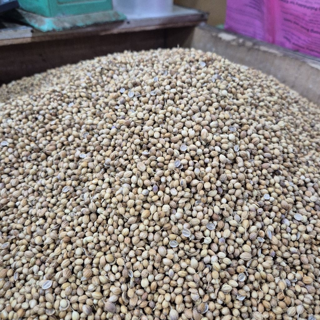 Ketumbar india 1kg / ketumbar hindia / ketumbar kanpuri / ketumbar herbal