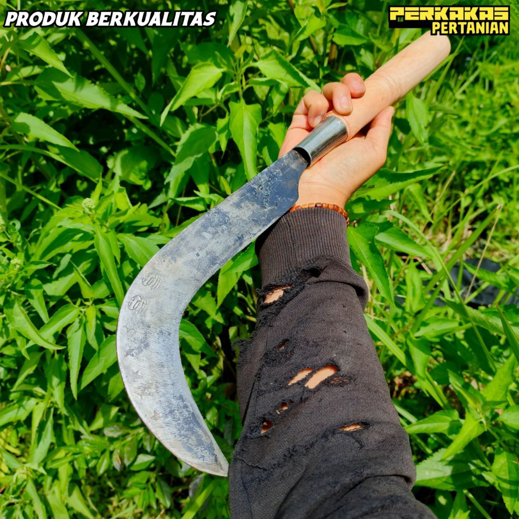 Candung untuk salak untuk keperluan serabutan dan panen salak bahan baja isen