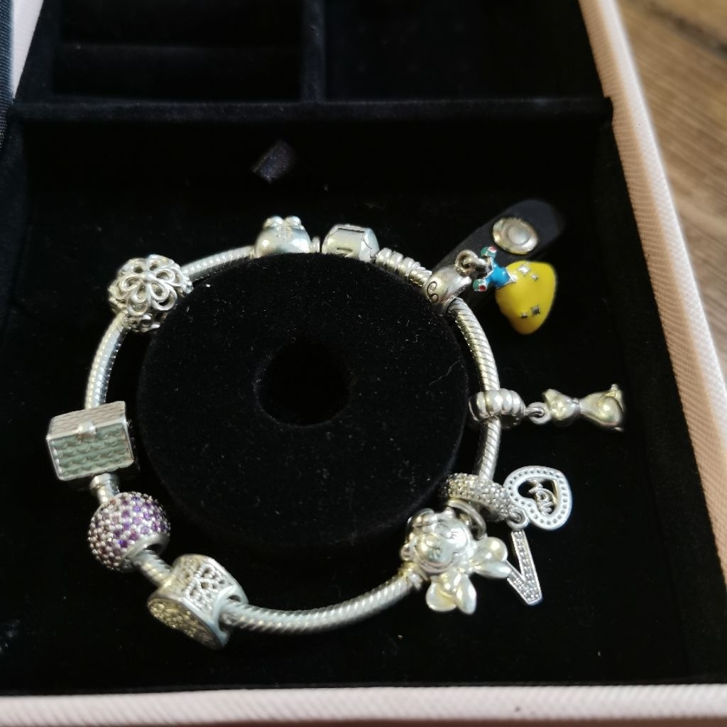 Original pandora silver bracelet with 9pcs uniq charm